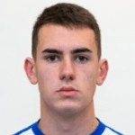 Н. Станушич  