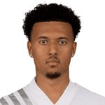 Н. Хямяляйнен