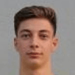 Дани Пломер  