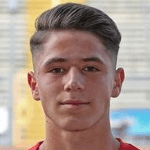 С. Эль-Фаузи  