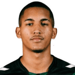 М. Пун-Анджерон