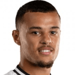 Д. Латибодьер  