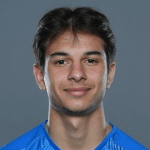 Л. Паркадзе  