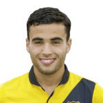 М. Эль-Аллучи