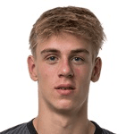 Ф. Гайсельберг  