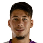 Н. Фернандес  