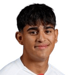 Н. Эрнандес  