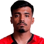 Винисиус Минготти  