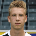 Н. Бранденбургер