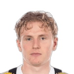 Г. Вестстрём  