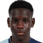 Мамаду Фофана II