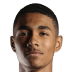 Н. Андерсон  