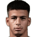 Н. Видоевич