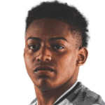 Давід Говеа Мерлін