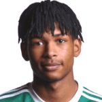 Рікардо Флісберто Дінанга  