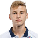 Р. Брайкович