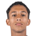 С. Мюльтхалер