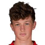 В. Зульцбахер