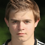 К. Хольцвайлер