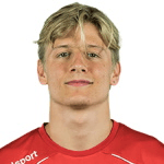 М. Маттссон