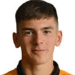 Д. Фоулстон