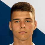 В. Матйевич