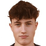 Р. Стиванелло  