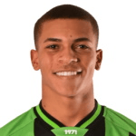 Родригуиньо  