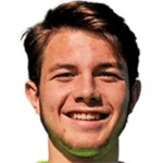 Д. Стризович