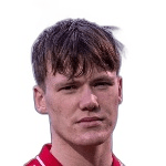 Й. Паульссон