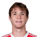 Маріо Фернандес