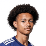 Л. Піррінґель  