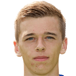 К. ван ден Берге