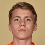 Т. Бейлевелд  