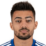 Раду Александру Негру