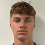 А. Маткович