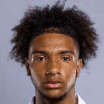 Е. Моррисон