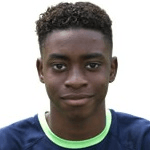 К. Винсент-Янг  