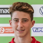 Н. Кересстеш