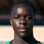 К. МаКензи-Лайл