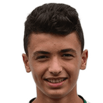 М. Карадениз