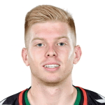 К. Каргулевич