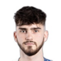 Ф. Козловські