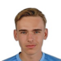 Н. Вестербек