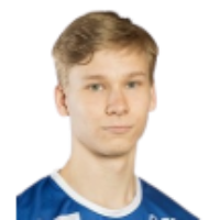 V. Nikulainen
