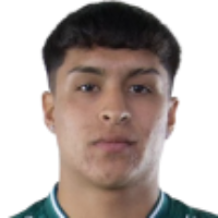 Diego Opazo