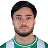 Л. Палавесино