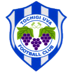 Tochigi City FC