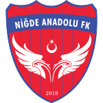 Niğde Anadolu FK