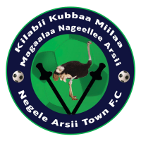 Негелле Арсі